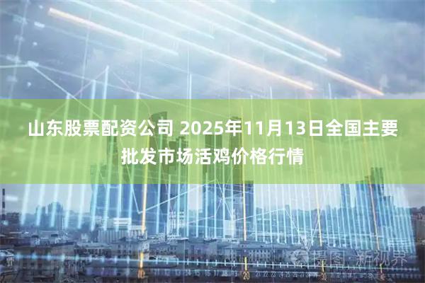 山东股票配资公司 2025年11月13日全国主要批发市场活鸡价格行情